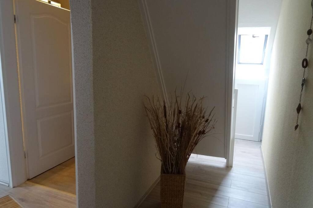 Ferienwohnung Ca 85 Qm Zzgl 17 Qm Terrasse Hanóver Exterior foto